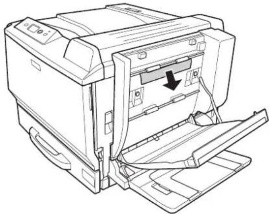 EPSON AcuLaser C9200 - Papierstau D (Abdeckung der Duplexeinheit) - 4