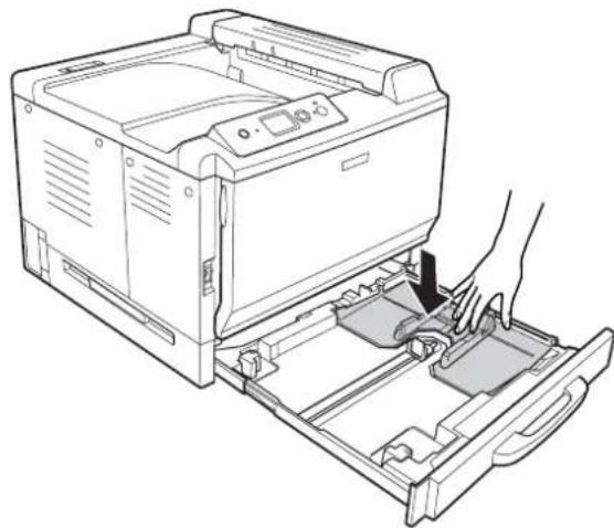 EPSON AcuLaser C9200 - Standardpapierkassette - 2