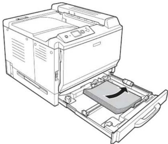 EPSON AcuLaser C9200 - Standardpapierkassette - 5
