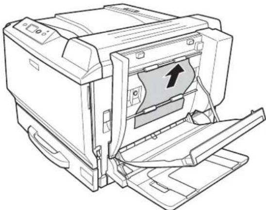 EPSON AcuLaser C9200 - Papierstau D (Abdeckung der Duplexeinheit) - 2