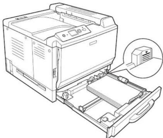 EPSON AcuLaser C9200 - Standardpapierkassette - 6