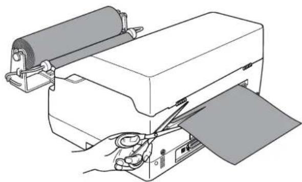 EPSON PLQ-30M - Laden von Rollenpapier - 5