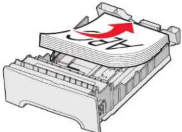 LEXMARK C534 - Loading the standard tray - 4