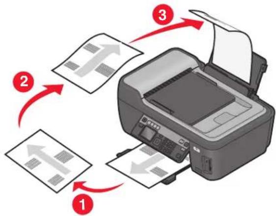 LEXMARK PRO 202 - Manuelles Erstellen einer beidseitigen Kopie - 1
