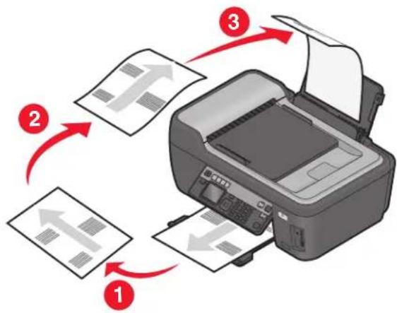 LEXMARK PRO 202 - Windows-Benutzer - 1