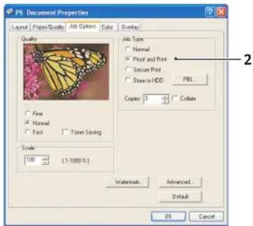 OKI C5400 - SENDING THE DOCUMENT TO PRINT - 2