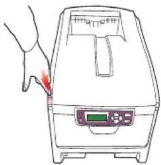 OKI C5200n - SPEICHER-UPGRADE - 1