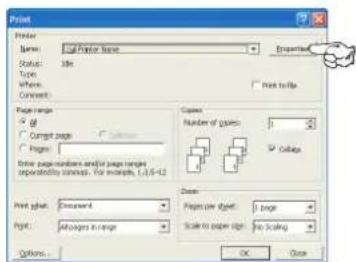 OKI C511 - DRUCKEINSTELLUNGEN IN WINDOWS-ANWENDUNGEN - 1