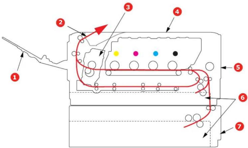 OKI C511 - WICHTIGE DRUCKERKOMPONENTEN UND PAPIERTRANSPORTWEG - 1
