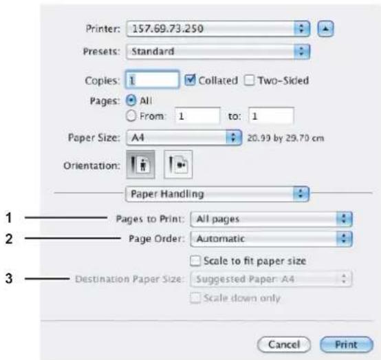 OKI MPS4242 - ■ Papierhandhabung - 1