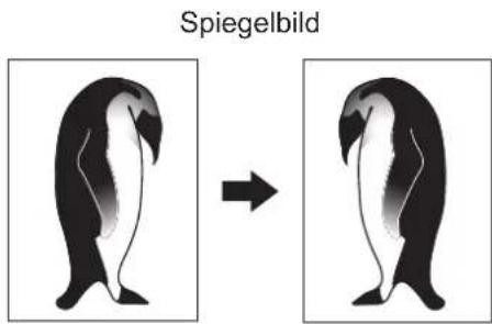 OKI MPS4242 - Spiegelbild / Negativ/Positiv Umkehrung - 1