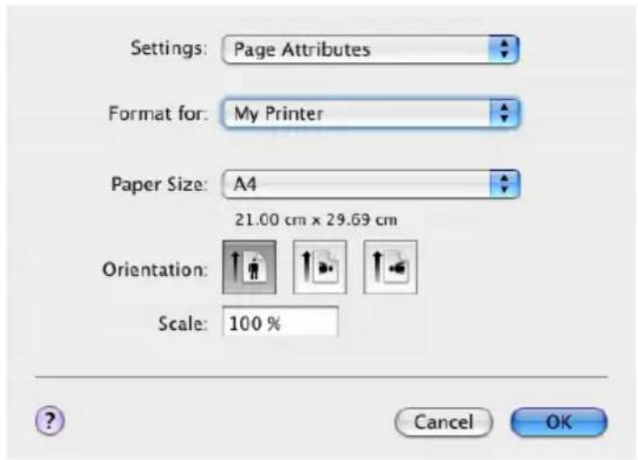 OKI C5850 - PAPIERFORMAT-OPTIONEN - 1