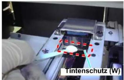 Tintenschutz (W)