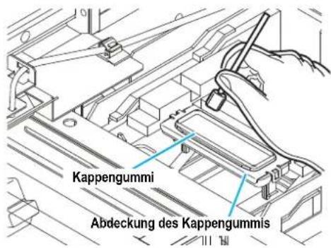 Kappengummi Abdeckung des Kappengummis