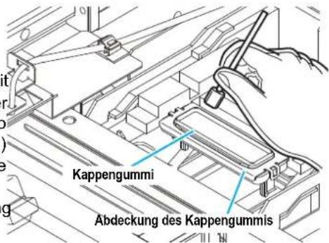 Kappengummi Abdeckung des Kappengummis