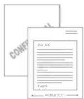 RICOH Aficio BP20N - Papier flexibel einsetzen - 1