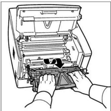Triumph-Adler LP 4230 - Im Drucker - 2