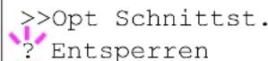 Triumph-Adler CLP 4626 - Optionale Schnittstelle (Netzwerkkarten Einstellungen) - 2