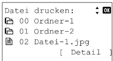 Triumph-Adler CLP 4550 - Dateiliste der Speicherkarte drucken - 2