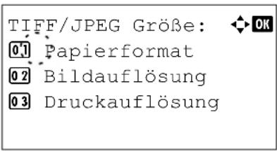 Triumph-Adler CLP 4550 - Duplex (Duplexdruck einstellen) - 4