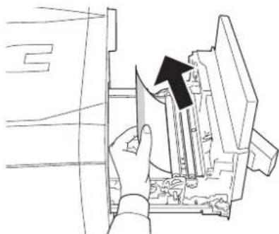 Triumph-Adler CLP 4526 - Papierstau - Rechte Abdeckung - 5