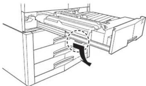 Triumph-Adler CLP 4526 - Papierstau - Duplexeinheit - 2
