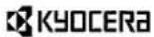Triumph-Adler DC 2230 - Network Status Page - 1