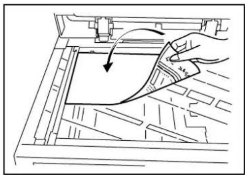 Triumph-Adler DC 2230 - Storing a Form - 1