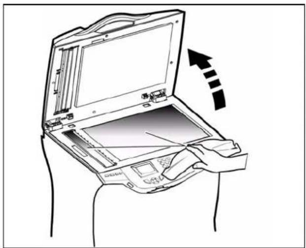 Triumph-Adler CLP 4524 MFP - Le seeinheit des Scanners reinigen - 2