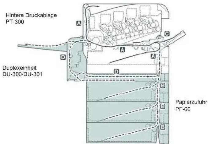 Triumph-Adler CLP 4524 MFP - Mögliche Staubereiche - 1