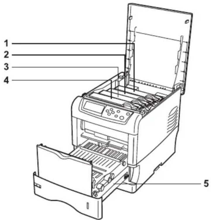 Triumph-Adler CLP 4516 - Druckerinneres - 1