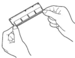 Triumph-Adler CLP 4516 - Hinweise zur Handhabung der Hauptplatine und der DIMM-Module - 1