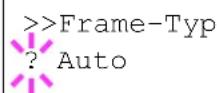 Triumph-Adler CLP 4521 - Frame-Typ (Frame Typ Einstellungen) - 1