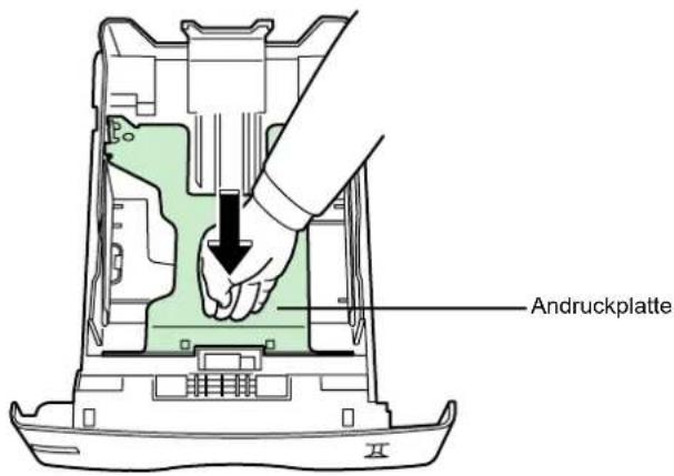 Triumph-Adler CLP 4316 - Papier in die Kassette einlegen - 3