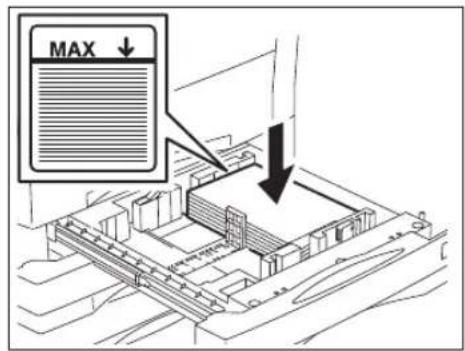 MAX ↓