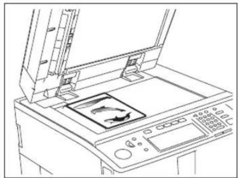 TOSHIBA E-Studio 720 - Legen Sie den Bereich fest. Unter Verwendung der Größenskala und der inneren Skala (oben) können Sie die Position des gewünschten Bereichs folgendermaßen bestimmen: - 1
