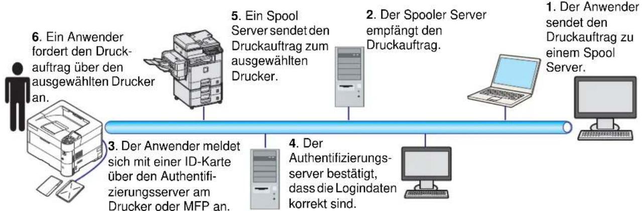 Triumph-Adler P-6031DN - Sicherer Pull Druck (optional) - 1
