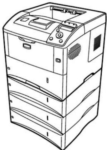 Triumph-Adler LP 4245 - CompactFlash (CF)-Karte - 1