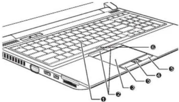 TOSHIBA Satellite Pro R830 - Verwenden des Touchpads - 1