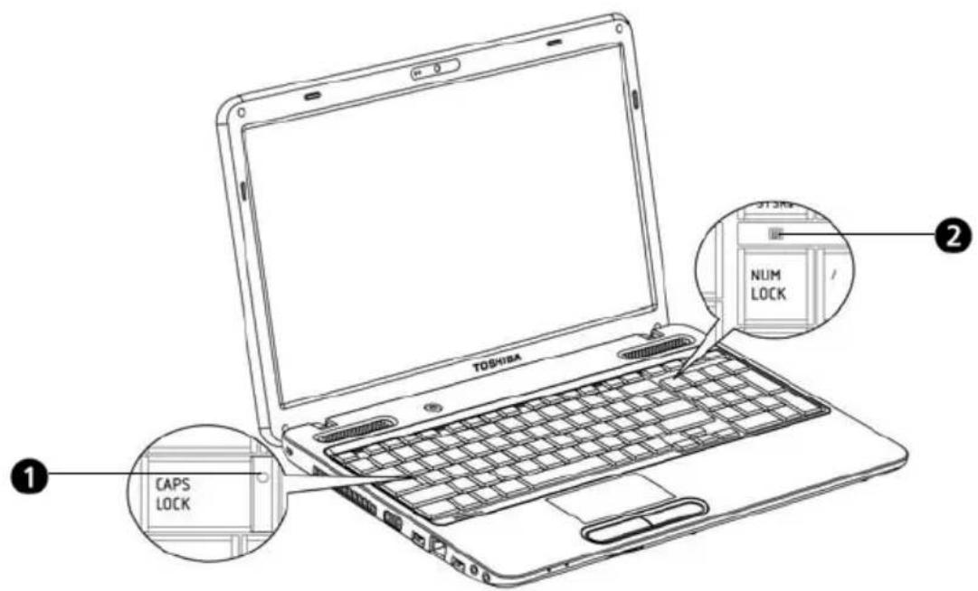 TOSHIBA Satellite Pro C650D - Tastatur-LEDs - 1