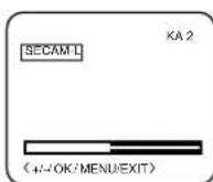 TOSHIBA 14N31D - Manuelle Einstellung - 5