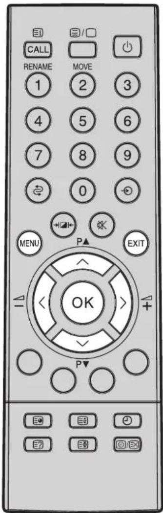 TOSHIBA 14N31D - Manuelle Einstellung - 1