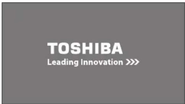 TOSHIBA 46RV733 - Open from Menu - 3