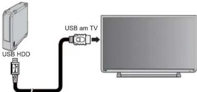 TOSHIBA 40W2444 - Verbindung des USB-HDD für die Aufnahme - 1