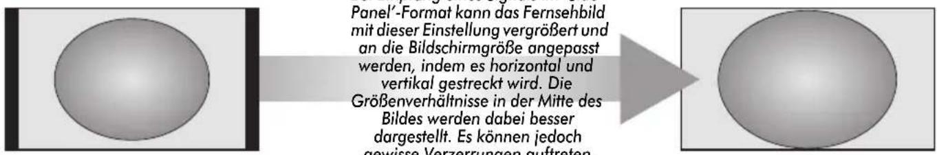 TOSHIBA 32XV503 - Anzeige im Breitbildformat - 2