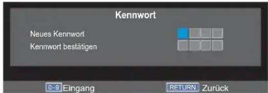 TOSHIBA 32W2444 - Kennwort - 2