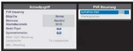 TOSHIBA 32W2444 - Aufnahme von DTV-Programmen - 1