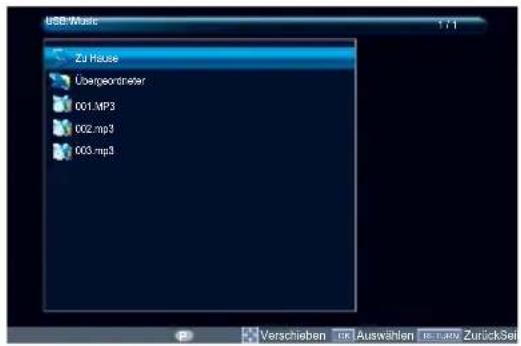 TOSHIBA 32L2443 - Musikdateien abspielen - 3