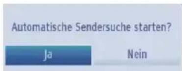 TOSHIBA 24W1443 - Analog-TV und Voll. - 2