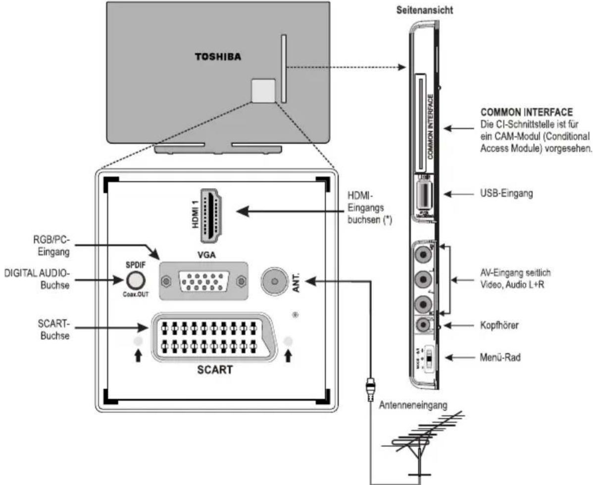 TOSHIBA 24D1433 - Anschließen von externen Geräten - 1